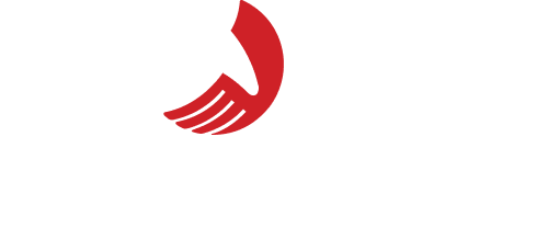 Dosti Logo